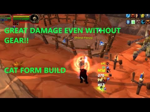 DO GREAT DAMAGE EVEN WITHOUT GEAR WITH THIS FERAL DRUID BUILD!! -Project Ascension Builds