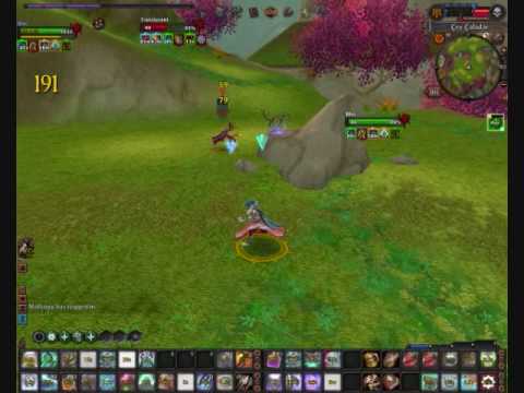 Zealot vs. Bright Wizard in Warhammer