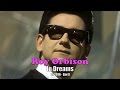 Roy Orbison - In Dreams (Karaoke)