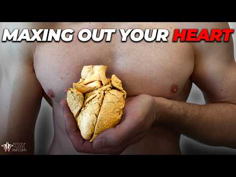 VO2 Max & Longevity: The ONE Metric For a Longer Life
