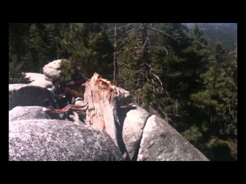 Pushing Giant Tree Off Cliff