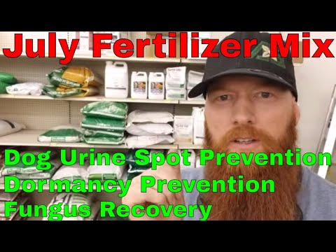 How to Fertilize in Hot weather.  Dog urine spot prevention, fungus recovery, general fertilizer