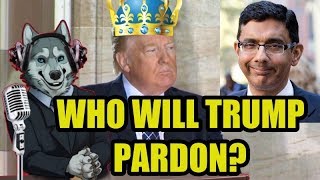 Trump Pardon, Fox News, Dinesh D'souza, scooter libby, Joe Arpaio