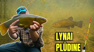 Kas Vyksta po Plūde? Lynai Povandeninės Kameros Objektyve