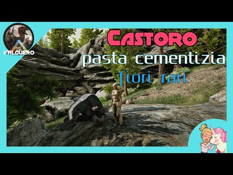 Ark Valguero || Cerchiamo castori, pasta cementizia e perle