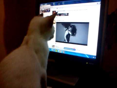 Tashyo watching lady gaga