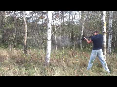 Cutting down tree with SPAS-12