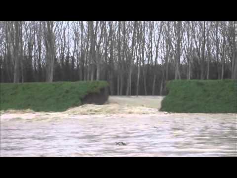 Alluvione a Ponsacco, 31/01/2014, Giulia Falaschi