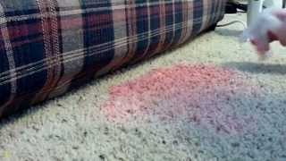 How to Remove a Red Kool Aide Stain from Carpet