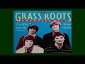The Grass Roots ~ Things I Should Have Said (Stereo)