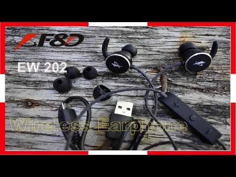 F&D Wireless Earphone  EW202 With Mic | Unbox and Review | By Tips & Tricks Video