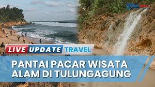 Uniknya Tempat Wisata Pantai Pacar di Tulungagung, Punya Air Terjun yang Langsung Mengalir ke Laut