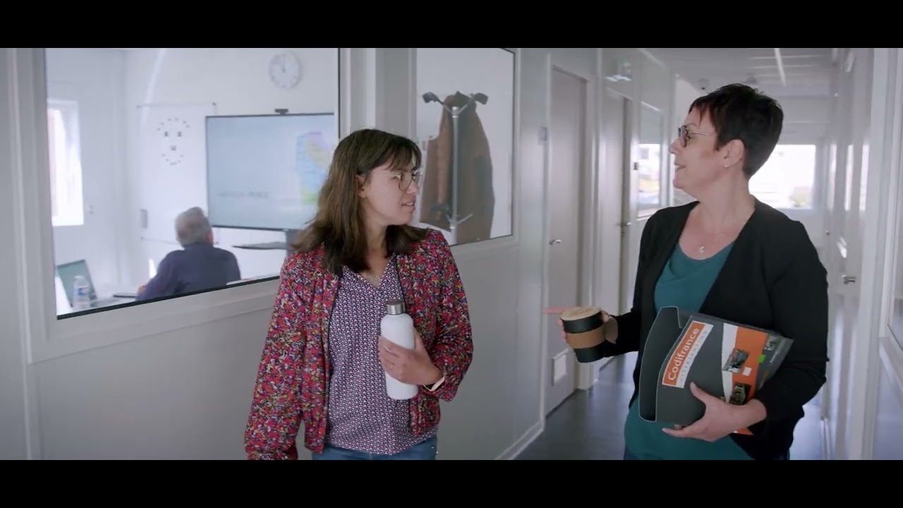 Focus sur l’histoire du groupe Codifrance : les enseignes Coccinelle et Coccimarket