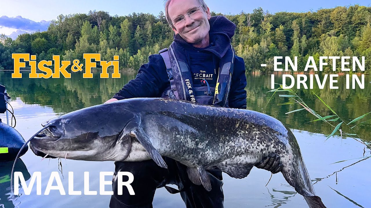 NY VIDEO: MALLER – EN AFTEN I DRIVE IN