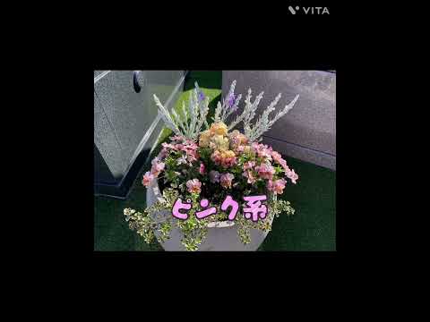 墓地に適した手入れの簡単な植物は何ですか？私たちのトップ5！  庭園