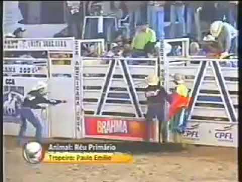 Edivaldo aparecido ansselmo vs réu primario