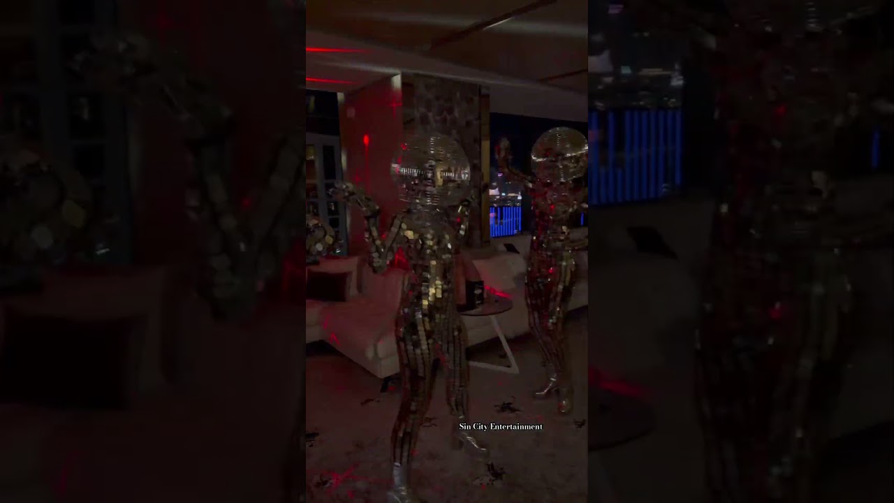 Promotional video thumbnail 1 for Las Vegas Disco Ball Dancers