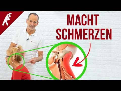 Dieser Muskel macht Nackenschmerzen❗Teste diese Übung!