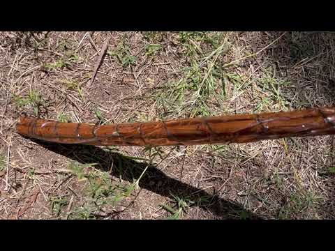 Resin walking stick Original Creation