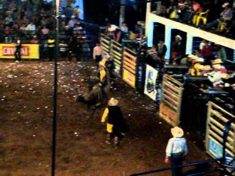 Nivaldo Alves X Tornado (ATA)