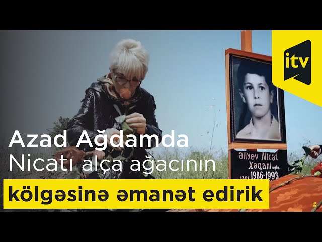 28 il sonra Nicatı yenidən çox sevdiyi alça ağacının kölgəsinə əmanət edirik...