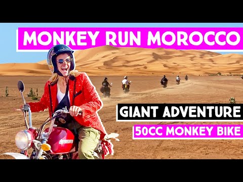 Ride a 50cc bike across Morocco on the Monkey Run