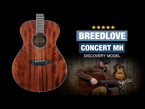 Breedlove Acoustic Guitar - Discovery Series image 5