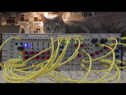 ALM System Coupe | First Patches (feat. My Cats)