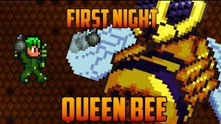 Terraria - Queen Bee first Night [Speedrun Challenge]