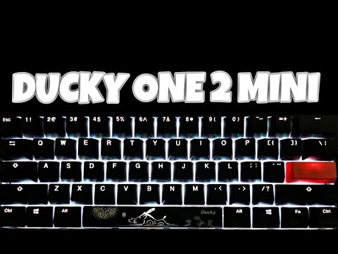 Unboxing Ducky One 2 Mini RGB LED 60% Double Shot PBT Mechanical Keyboard