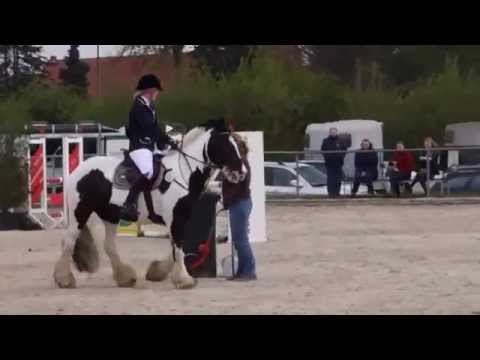 A* Springprüfung mit Tinker Radar in Harsum