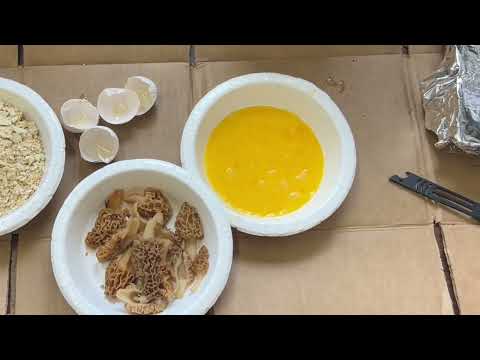 Testing Air Fried Morels