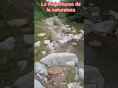 #linieros ⚡💪♥️ #naturaleza 🌲 #sigueme 👍para más #en Coello # para ti
