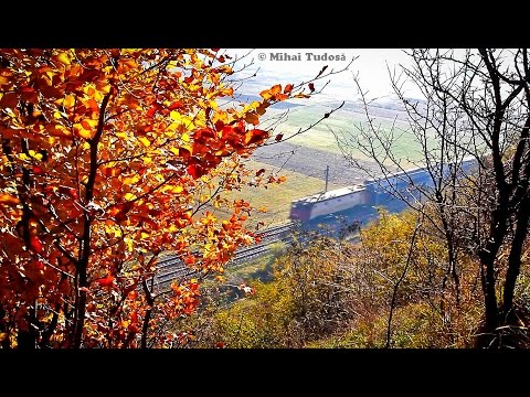 Autumn Fast Trains near Dolhasca [November, 2015]