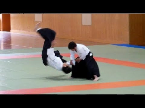 Talking About Aikido #2