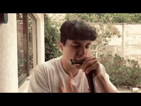 Armónica beat Box-Juan Pablo San Cristobal