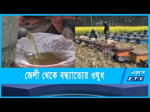 জেলী থেকে বন্ধ্যাত্যের ওষুধ তৈরী