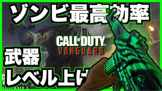 【COD:V】ゾンビで武器レベル上げたい人必見！最高効率教えます！【ゾンビ】