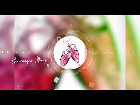 SJ the Artisan  x La Chinita - Champagne Stories (Official Audio)