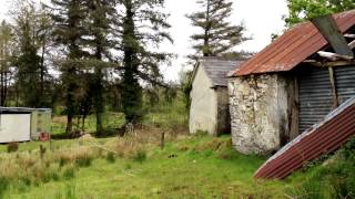 Faughnan Family Farm - Clooncliva, County Leitrim, Ireland