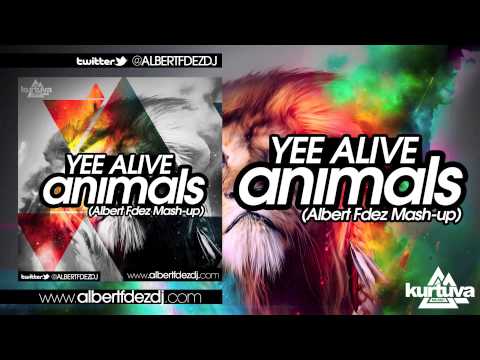 Martin Garrix Vs Deorro & Krewella - Yee Alive Animals (Albert Fdez Mash-Up)