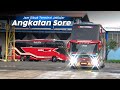 Hunting Bus Angkatan Sore di Terminal Jatijajar | Ada Bis Apa Aja?