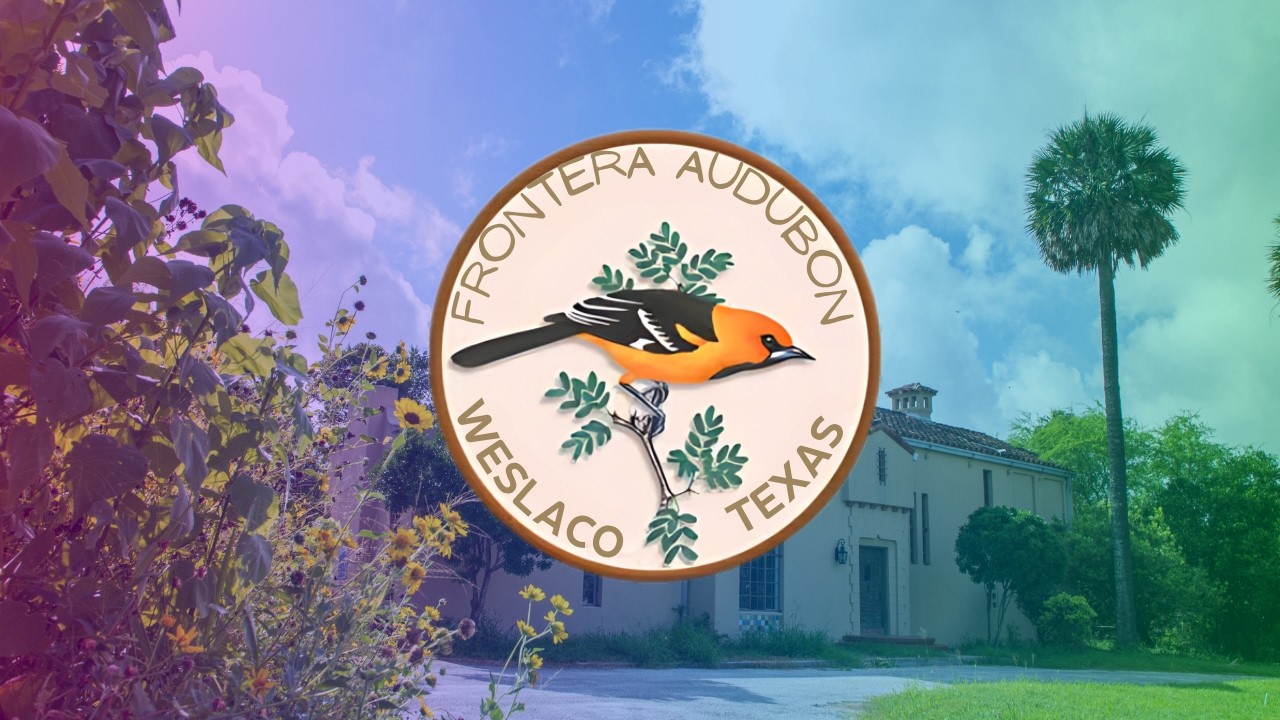 Frontera Audubon