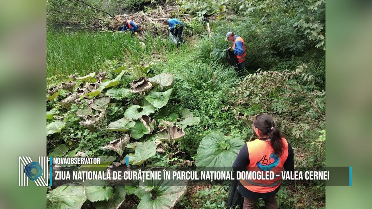 Ziua Națională de Curățenie în Parcul Național Domogled – Valea Cernei