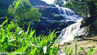 preview picture of video 'Uyilatty waterfalls- Kotagiri'