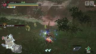 【MHRiソロ】 クエ埋め