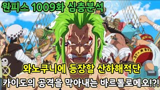 [원피스 1009화 심층분석]와노쿠니에 등장할 산하해적단 카이도의 공격을 막아내는 바르톨로메오?!