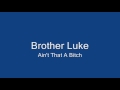 Brother Luke - Ain't That A Bitch