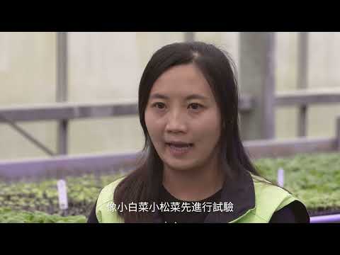 農業改革看臺灣 智慧農業微氣候監測系統