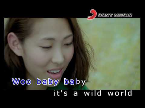 王若琳 WILD WORLD (Official Video Karaoke)